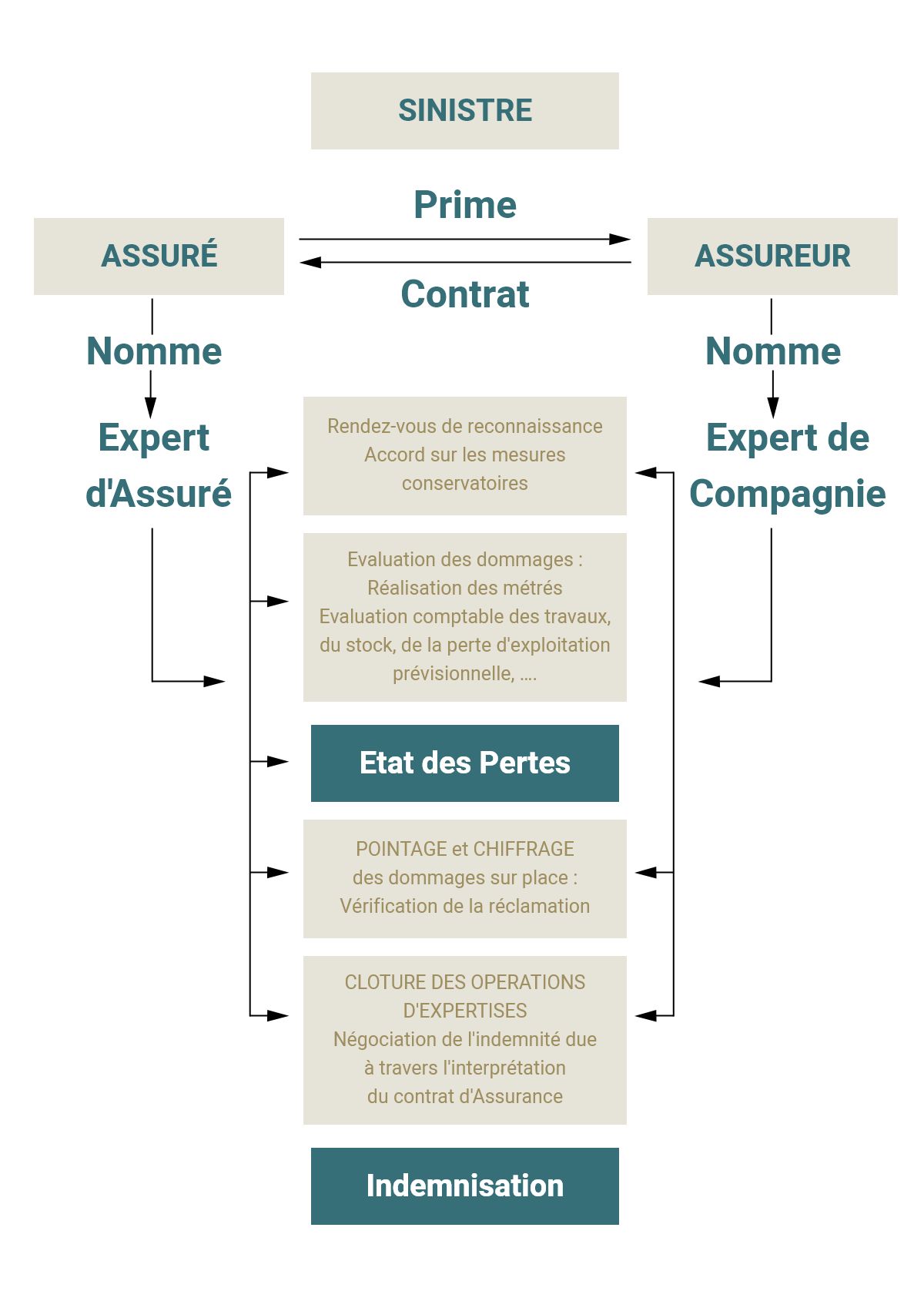 infographie